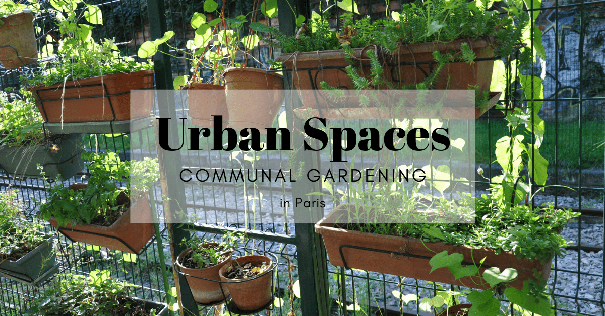 communal gardening in Paris