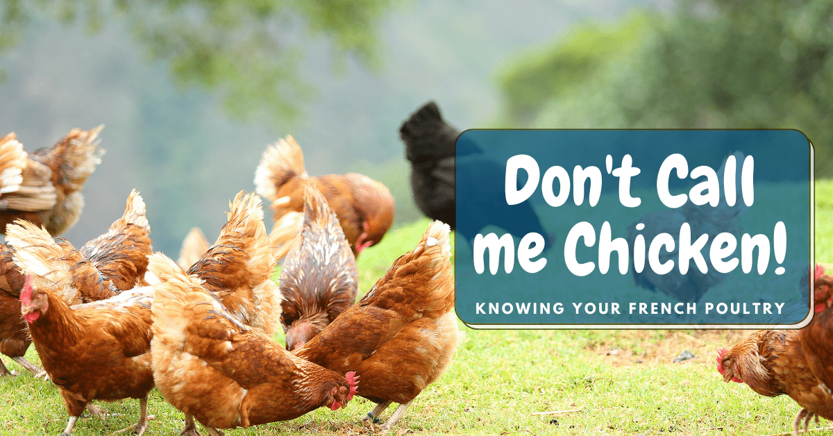 Don't call me a chicken! Knowing your French Poulets - Cook'n With Class  Paris