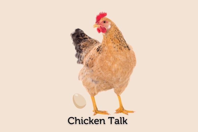 Don't call me a chicken! Knowing your French Poulets - Cook'n With ...