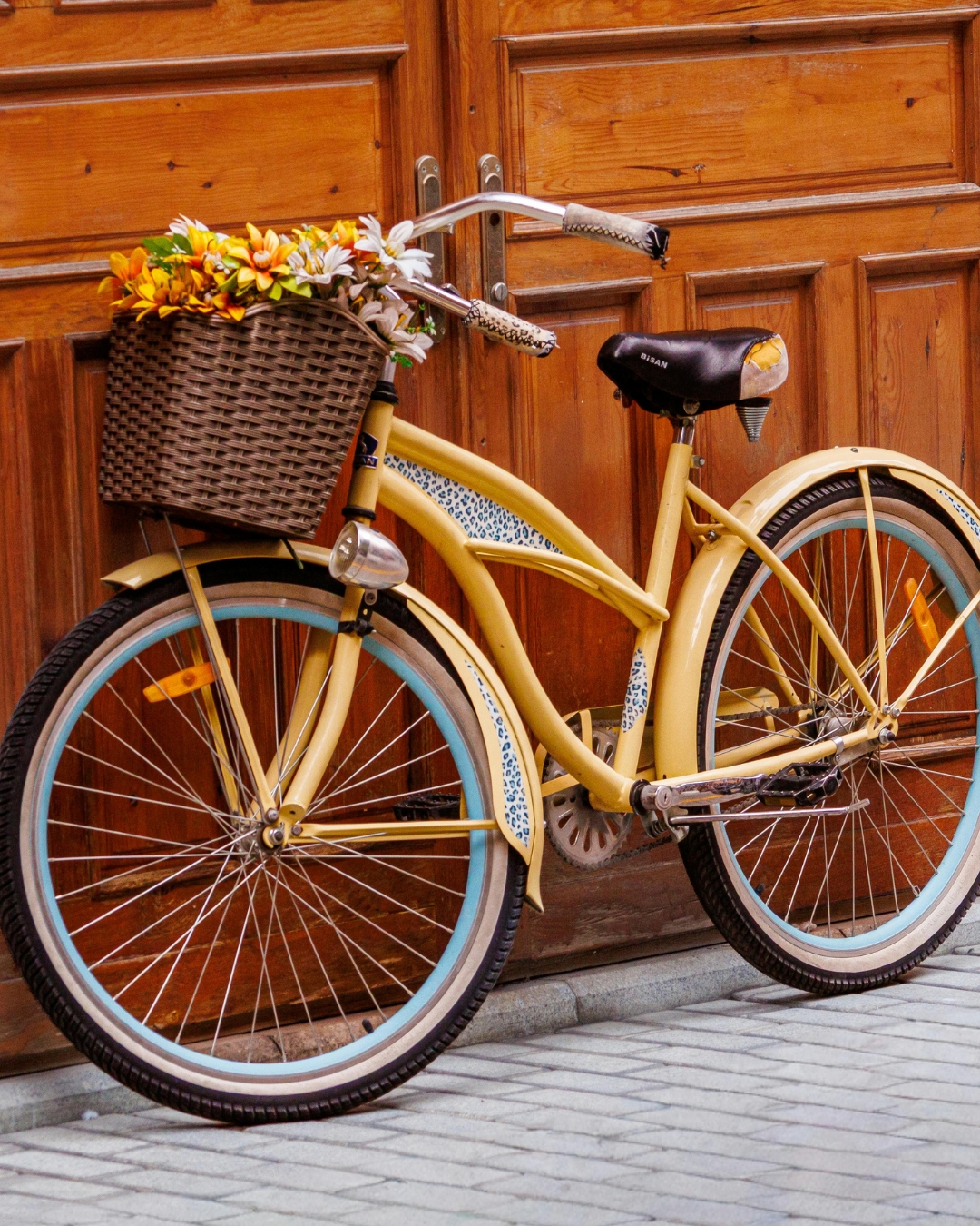 things to do in paris in the spring - get around paris by bike