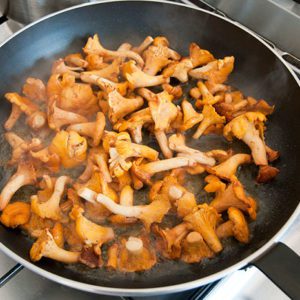 DSC5032-chanterelle-girolle-wild-mushroom