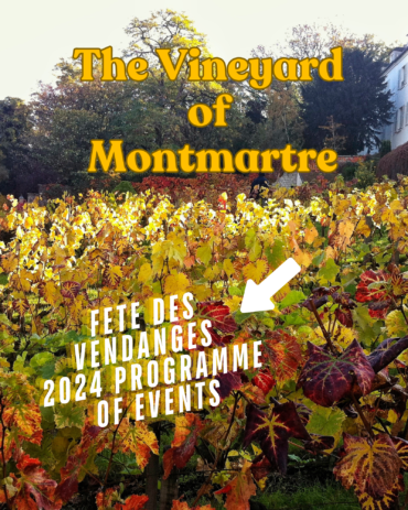 vineyard of montmartre blog 2024