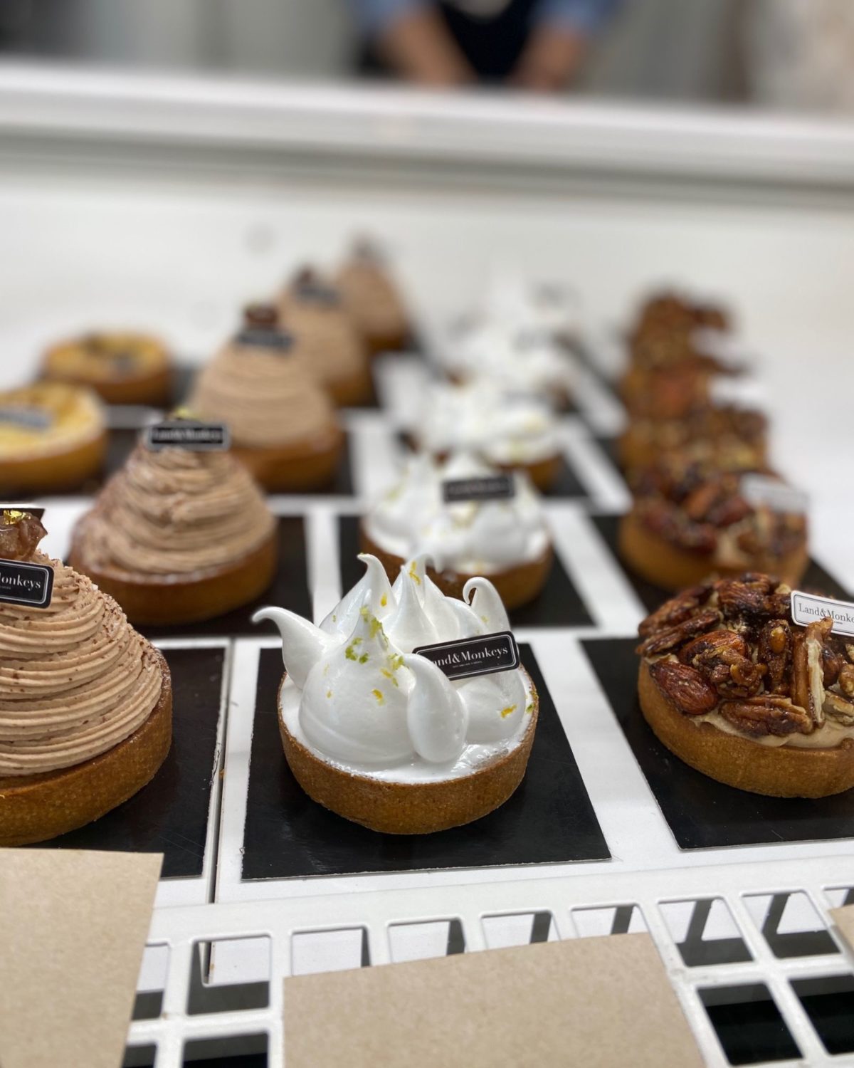 Land & Monkeys A Pastry Chef's Guide_ Paris with Dietary Restrictions website pic