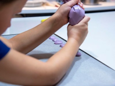 macaron en famille - piping