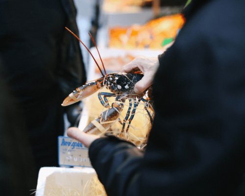 Private Class - Tailor Your Meal at The Market